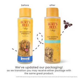 Burts Bee Itch Soothing Shampoo, 16-Ounce - Image 4
