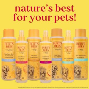 Burts Bee Itch Soothing Shampoo, 16-Ounce - Image 7