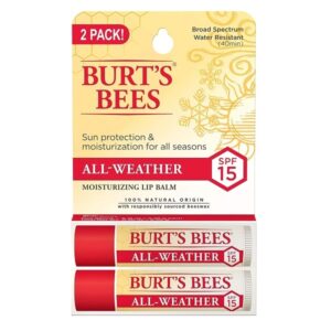 Burt's Bees 100% Natural All-Weather SPF15 Moisturizing Lip Balm, 2 Count - Image 1