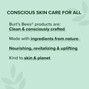 Burt's Bees 100% Natural Moisturizing Lipstick, Nile Nude, 1 Tube - Image 7