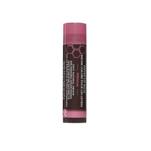 Burt's Bees 100% Natural Moisturizing Tinted Lip Balm, Hibiscus, 1 Tube, Pack of 2 - Image 7