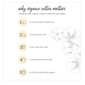 Burt's Bees Baby 100% Organic Cotton Set of Six Washcloths, Cloud - Image 5