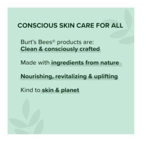 Burt's Bees Lip Shimmer, Fig (Pack of 4) - Image 6