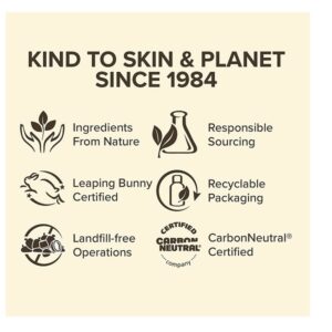 Burt's Bees Moisturizing Lip Care Beeswax, Cucumber Mint, Watermelon & Sweet Mandarin Lip Balm (4 Pack) - Image 7