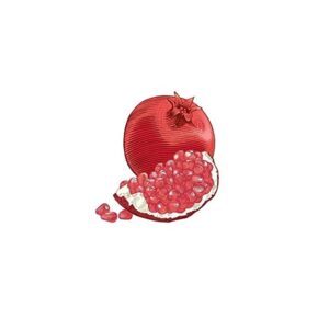 Burt's Bees Replenishing Lip Balm with Pomegranate Oil - Image 6