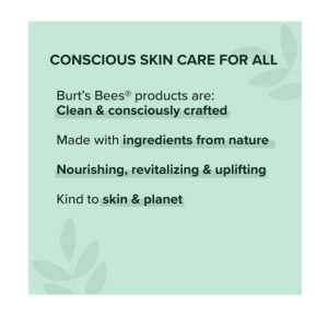 Burt's Bees Tinted Lip Balm - Rose 0.15 Ounce 2 Pcs - Image 5