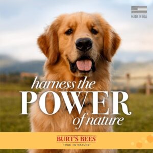 Burt's Bees for Dogs Natural Oatmeal Shampoo with Colloidal Oat Flour and Honey| Oatmeal Dog Shampoo, 4 Ounce Dog Shampoo to Soothe and Cleanse Dogs Skin and Coats - Image 8