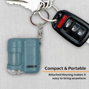 Carson MicroMini 20x LED Lighted Pocket Microscope with Built-in UV and LED Flashlight - Image 4