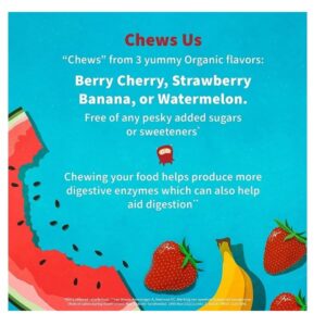 Garden of Life Probiotic Chewable Dr. Formulated Organic Kids+ Supplement, Shelf Stable for Kids - 30 Count - Image 4