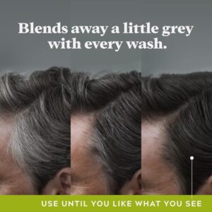 Just For Men Control GX Grey Reducing Shampoo, 4 Fl Oz - Image 3