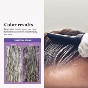 Just for Men Touch of Gray, Light & Medium Brown T-35, 1 Application - Image 3