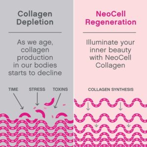 Neocell Laboratories Fish Collagen + HA Capsule, Pack of 120 Capsule - Image 2